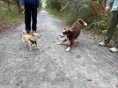IMG_6588.jpeg