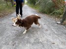 IMG_6590.jpeg