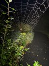 IMG_3719.jpeg