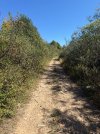 IMG_0087.jpeg