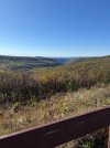 IMG_0092.jpeg