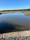 IMG_0265.jpeg