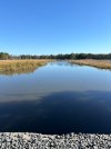 IMG_0264.jpeg