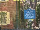 IMG_0299.jpeg