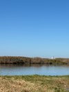 IMG_0290.jpeg