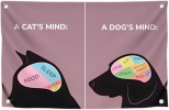 1760014276100.png