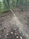 IMG_4487.jpeg