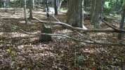 Dsc00833.jpg