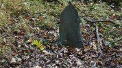 Dsc00842.jpg