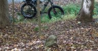 Dsc00847.jpg