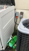 IMG_0746.jpeg