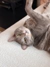 IMG_0031.jpeg