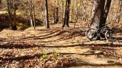 IMG_1398.jpeg