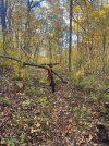 IMG_5279.jpeg