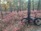 IMG_0468.jpeg