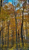IMG_4102.jpeg