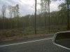 IMG00034-20100416-1516.jpg