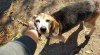 20160722_190548.jpg