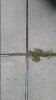 20160831_192026.jpg