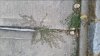 20160831_192004.jpg