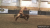 T_Rex_Cowboy_at_Halloween_Rodeo.gif