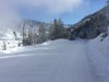 IMG_1394.JPG