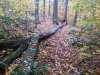 CA log ride Allamuchy NJ 2013.jpg