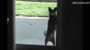 ezgif.com-gif-maker.gif