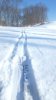20171210_120804.jpg 20171210_120804.jpg