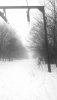 20180212_064621.jpg
