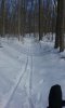 20180218_121341.jpg