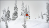 98D12B5D-474D-4C4C-9826-53DB6DF2D974.png