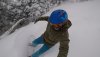 stowe_woods_1.JPG
