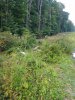 20180815_192609.jpg