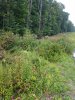 20180815_192024.jpg