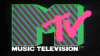 i-want-my-mtv-music-television-book.gif i-want-my-mtv-music-television-book.gif
