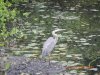 DSCN1595.jpg