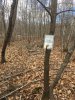 255EAB40-E2C9-4039-B78F-F2853A5492DE.jpeg