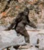 sasquatch.jpg