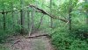 Dsc02583.jpg