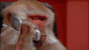 9E91FB6E-05FD-4D37-A99A-43CF027C87EE.gif