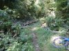 DSCN2116.JPG