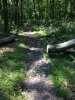 IMG_0055.JPG
