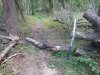 DSCN2133.JPG
