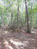 DSCN2145.JPG