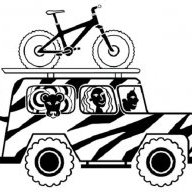 Team Town Cycle