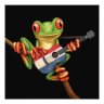 Dutch Frog