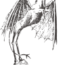 thwack